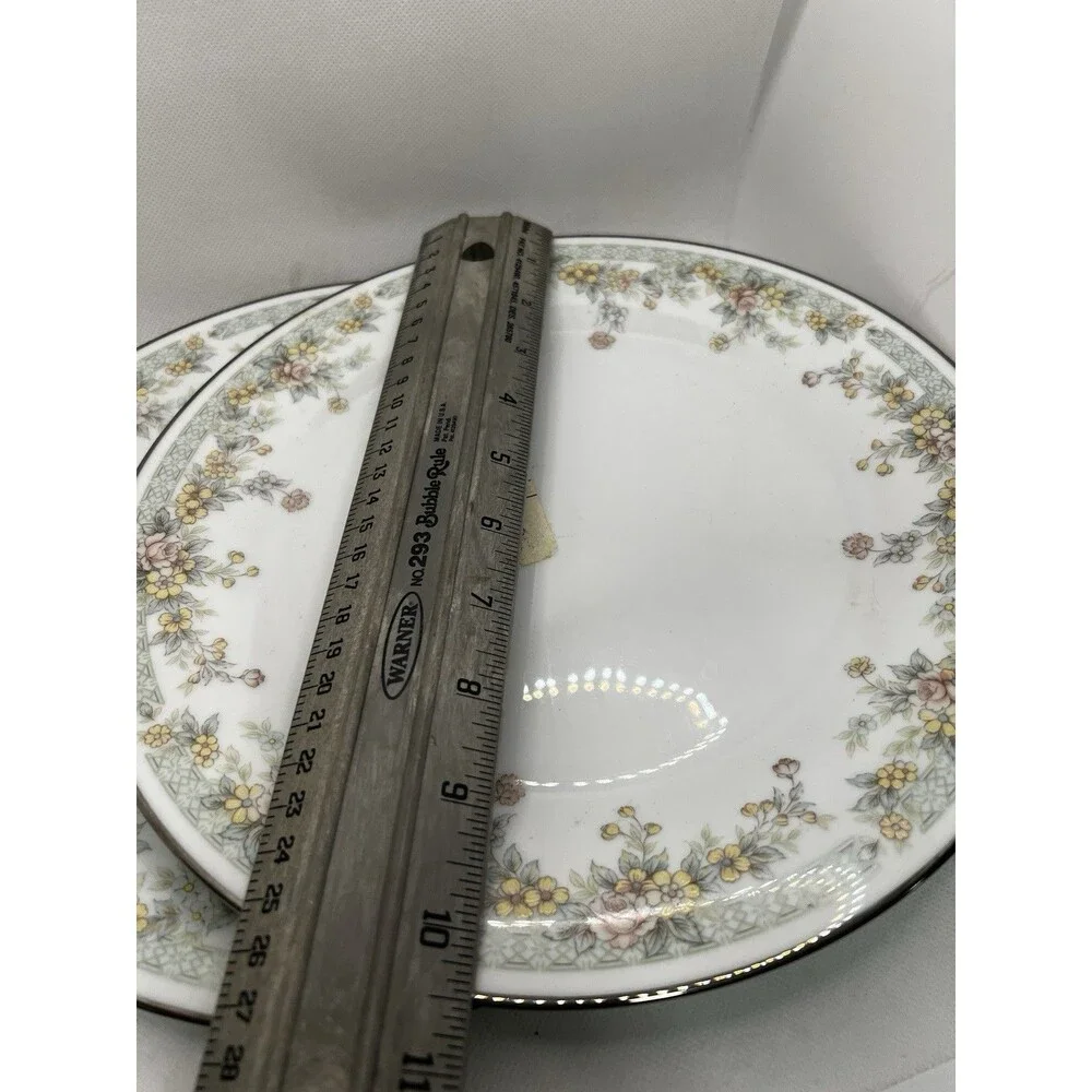 2 plates Noritake 2932 Spring Field Floral  Silver Rim Edge dinner dish 10